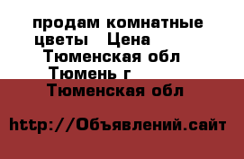 продам комнатные цветы › Цена ­ 500 - Тюменская обл., Тюмень г.  »    . Тюменская обл.